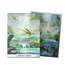 Sleeves Dragon Shield Landfall Series - Misty Rainforest - Matte Dual Art Sleeves