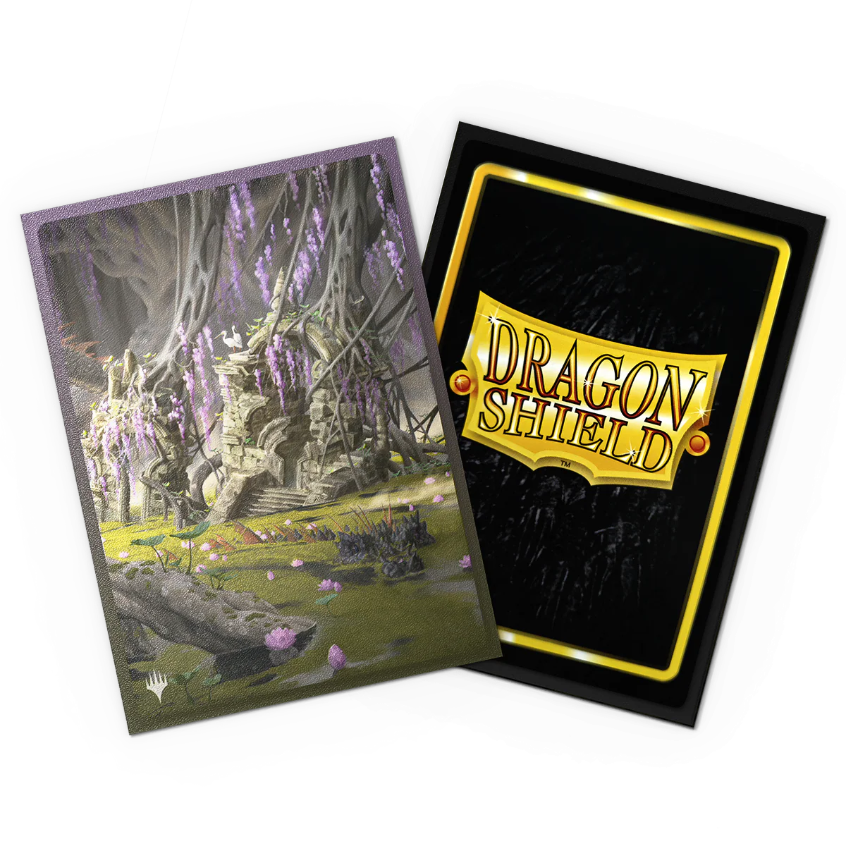Sleeves Dragon Shield Landfall Series - Verdant Catacombs - Matte Dual Art Sleeves