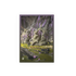 Sleeves Dragon Shield Landfall Series - Verdant Catacombs - Matte Dual Art Sleeves