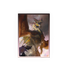 Sleeves Dragon Shield Legendary Series - The Ur-Dragon - Matte Dual Art Sleeves